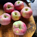 Distilled Calm Private Retreat Mit Sauna Und Verkostung Apartment *