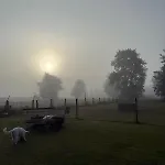 Distilled Calm Private Retreat Mit Sauna Und Verkostung Apartment Niederdorla