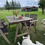 Distilled Calm Private Retreat Mit Sauna Und Verkostung * Niederdorla