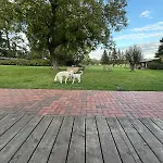 Apartment Distilled Calm Private Retreat Mit Sauna Und Verkostung Niederdorla