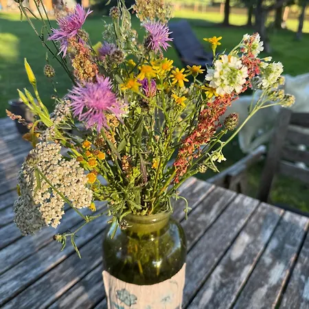 아파트 Distilled Calm Private Retreat Mit Sauna Und Verkostung Niederdorla