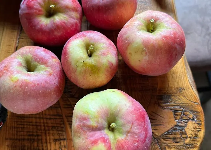 Distilled Calm Private Retreat Mit Sauna Und Verkostung Appartement *