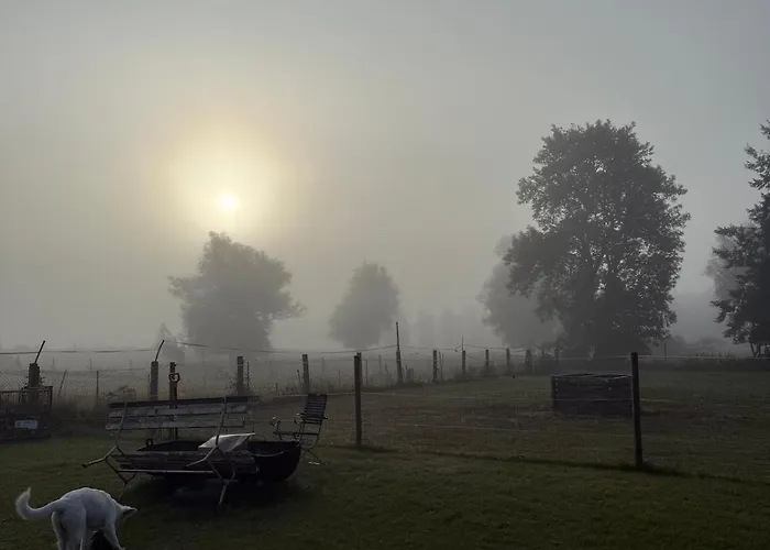 Distilled Calm Private Retreat Mit Sauna Und Verkostung Appartement Niederdorla