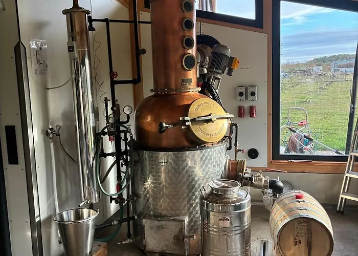 Appartement Distilled Calm Private Retreat Mit Sauna Und Verkostung Niederdorla