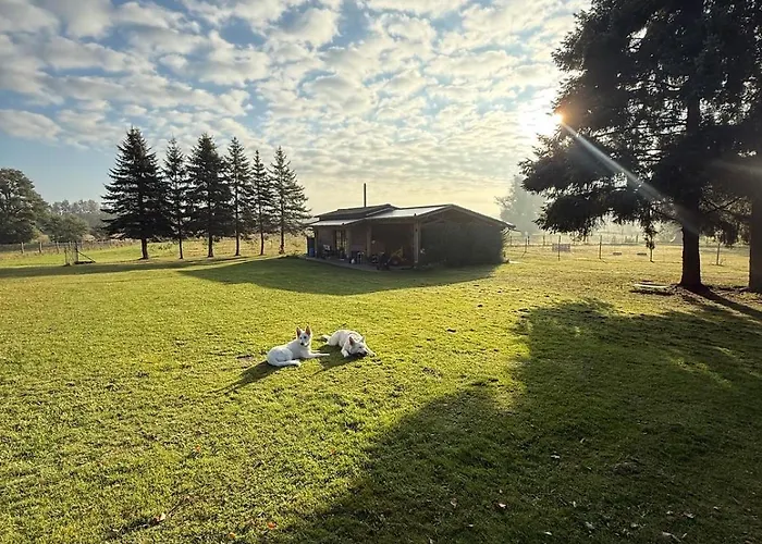 Distilled Calm Private Retreat Mit Sauna Und Verkostung Appartement *