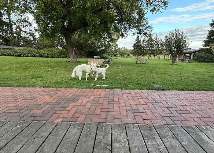 Appartement Distilled Calm Private Retreat Mit Sauna Und Verkostung Niederdorla