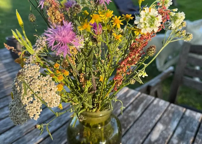 Appartement Distilled Calm Private Retreat Mit Sauna Und Verkostung Niederdorla